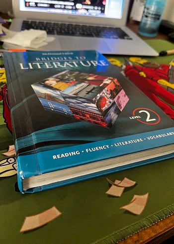 Bridges to Literature Seviye 2 Kitap - Görsel 5