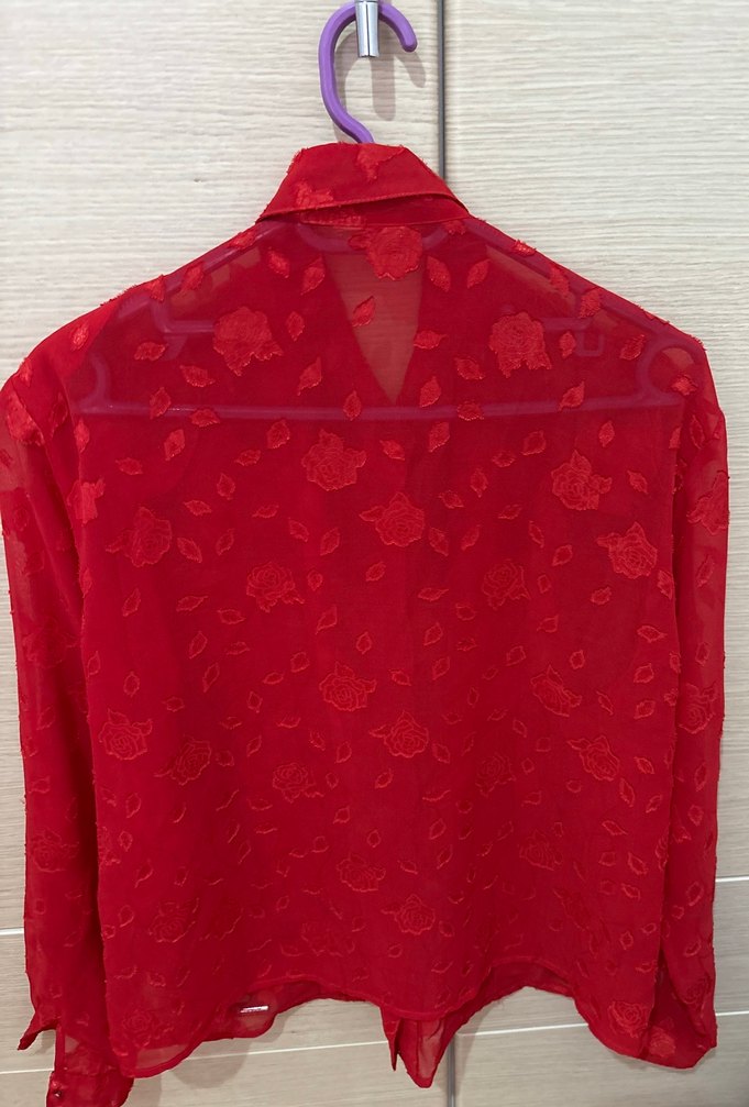 Kırmızı Kadın Uzun Kollu tül Gömlek - Görsel 2