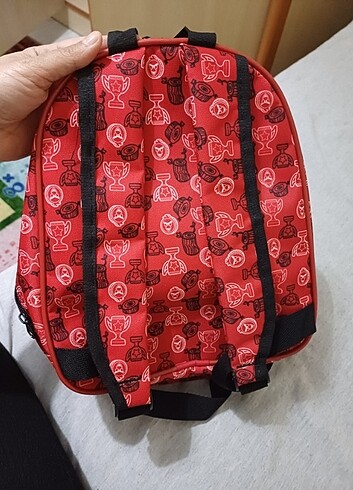 Anasifini cantasj - Görsel 2