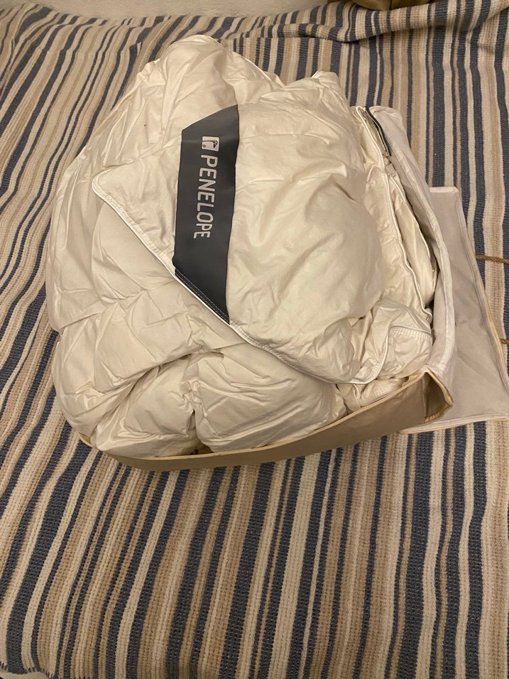 Penelope Gold kaz tüyü yorgan 13,5tog - Görsel 4