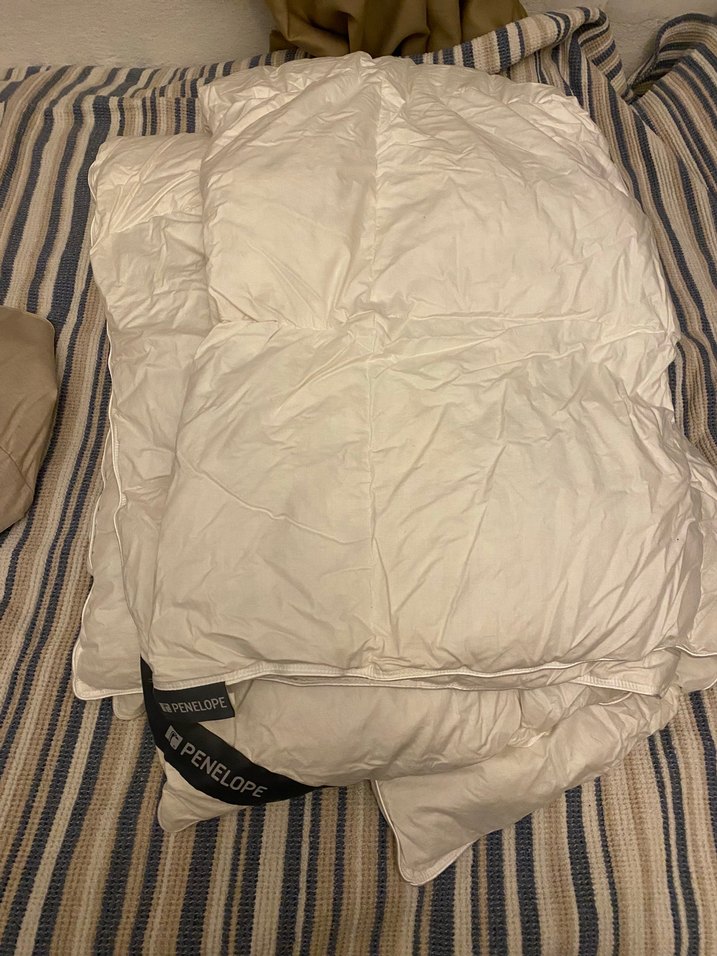 Penelope Gold kaz tüyü yorgan 13,5tog - Görsel 5