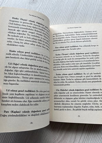 Şaman Gözü - Asu Mansur - Görsel 2