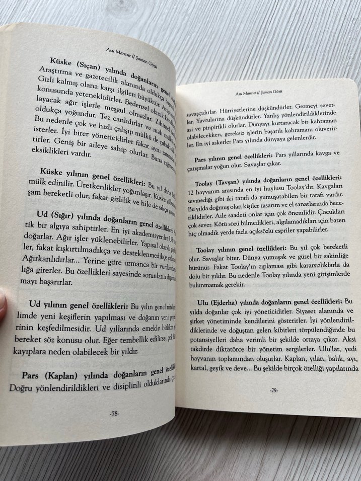 Şaman Gözü - Asu Mansur - Görsel 2