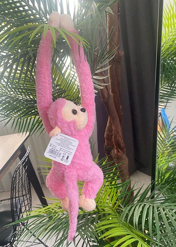 Sesli maymun - Görsel 2