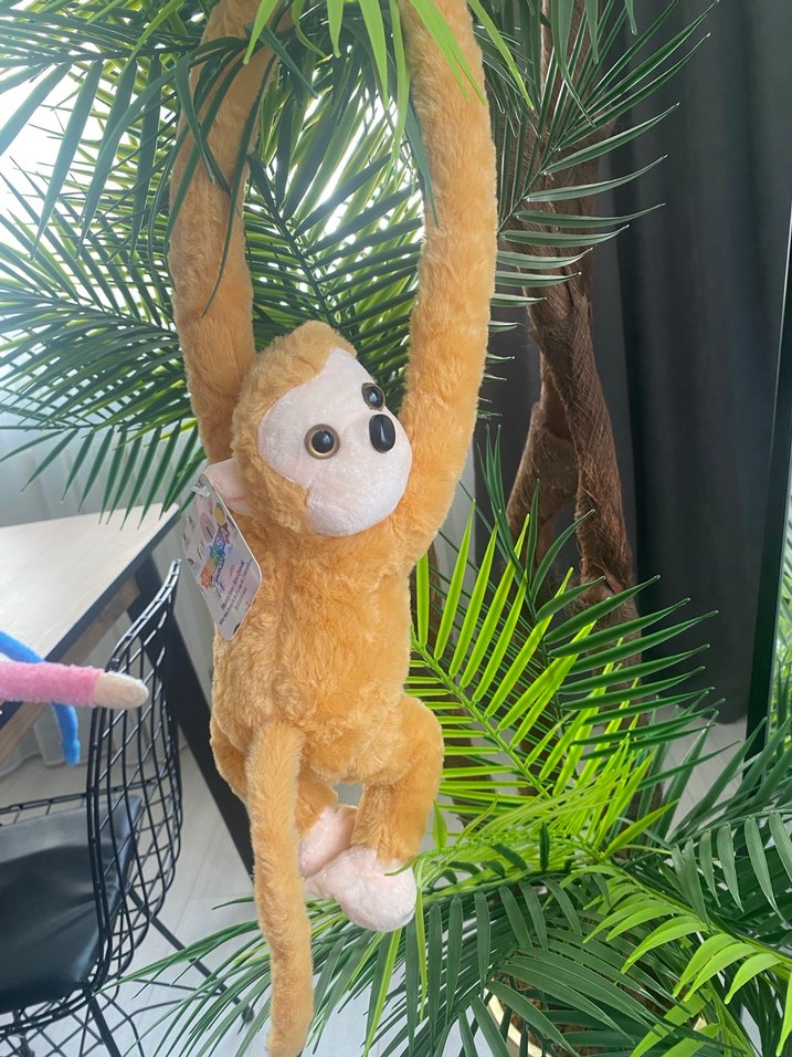 Renkli Kahverengi Peluş Maymun Oyuncak sesli - Görsel 2