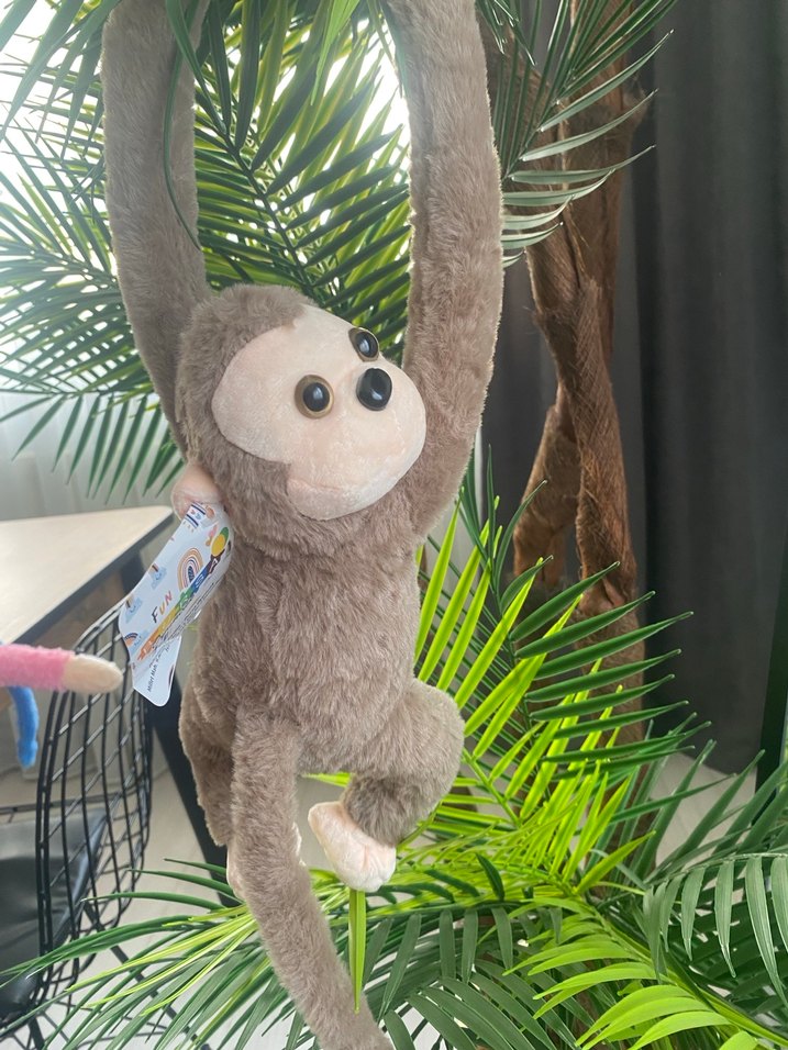 Sesli maymun - Görsel 2