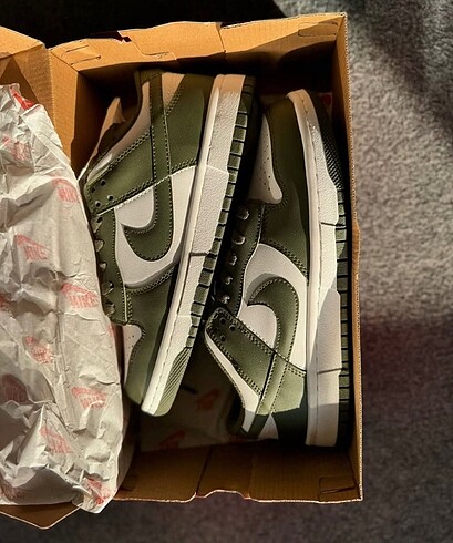 Nike dunk retro