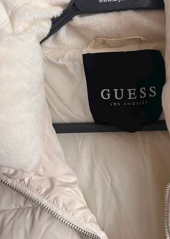 Guess s
