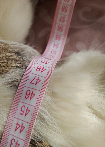 Uzun Bej Kadın Kürk Detaylı Kaban - Görsel 6