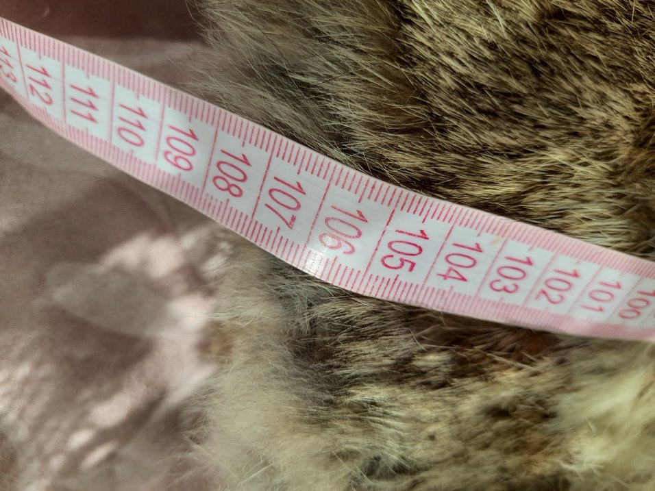 Uzun Bej Kadın Kürk Detaylı Kaban - Görsel 5