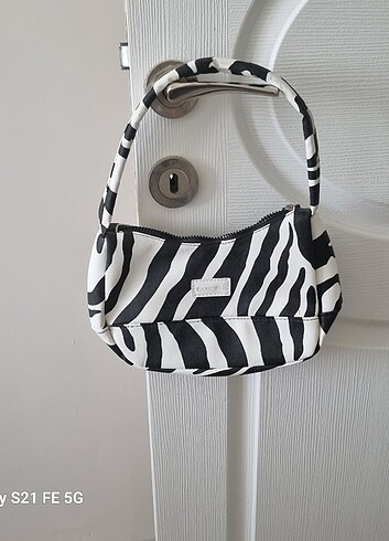 Zebra canta 