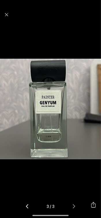 Genyum painter