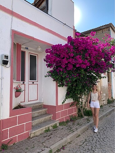 Beyaz şort