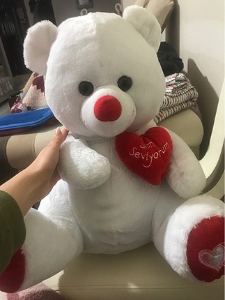 oyuncak ayı peluş ayı
