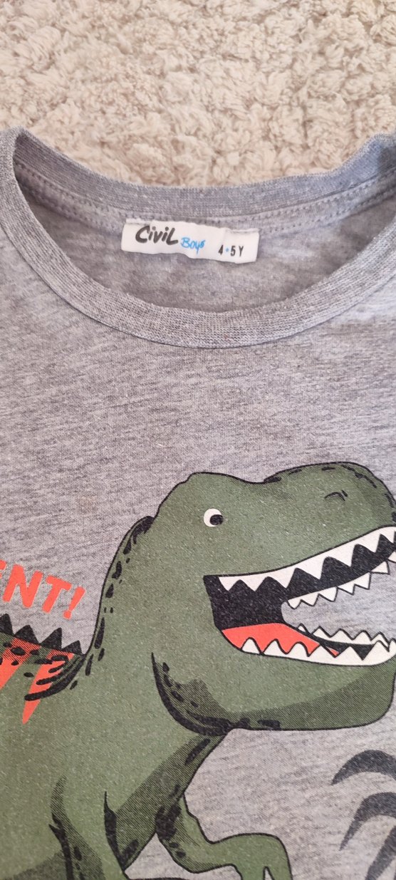 Gri Erkek Çocuk Dinazor Baskılı Sweatshirt - Görsel 2