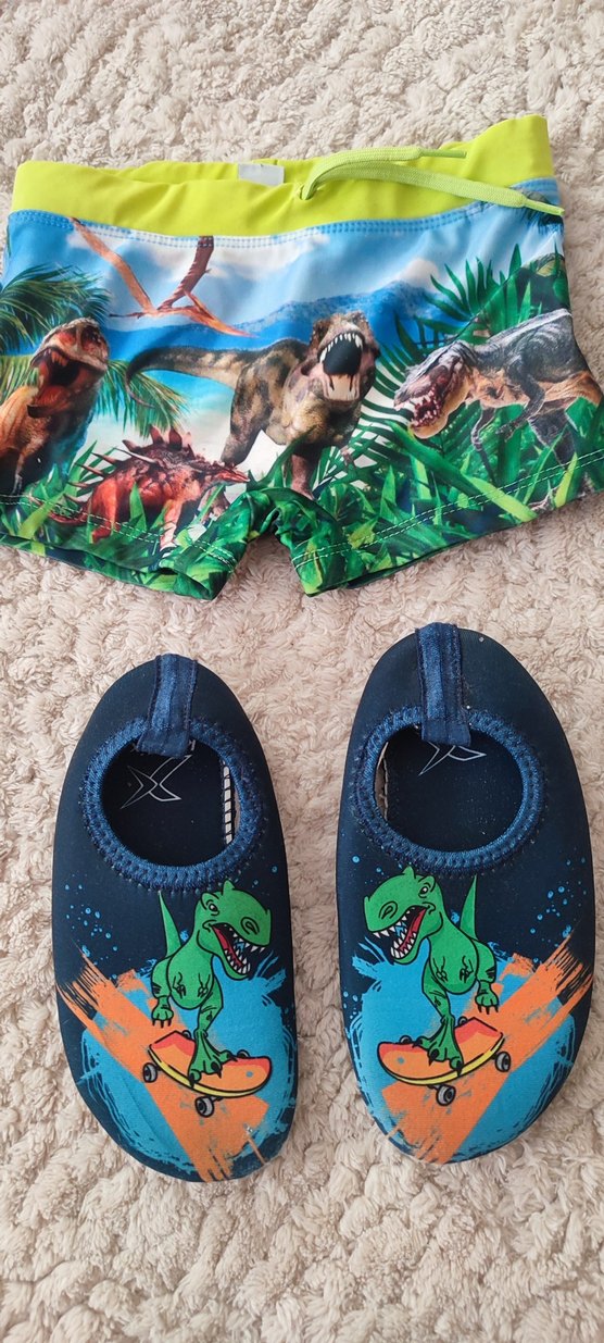 Renkli Dinozor Desenli Erkek Mayo Şortu - Görsel 3