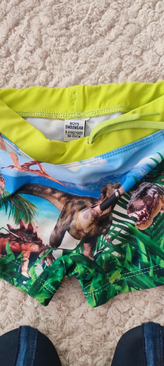 Renkli Dinozor Desenli Erkek Mayo Şortu - Görsel 2