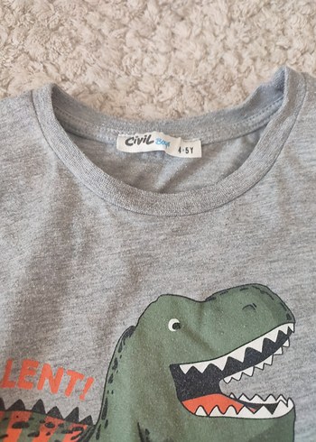 Erkek Çocuk Gri Dinozor Baskılı Sweatshirt - Görsel 2