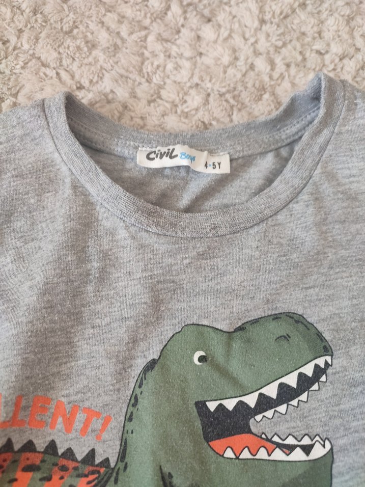 Erkek Çocuk Gri Dinozor Baskılı Sweatshirt - Görsel 2