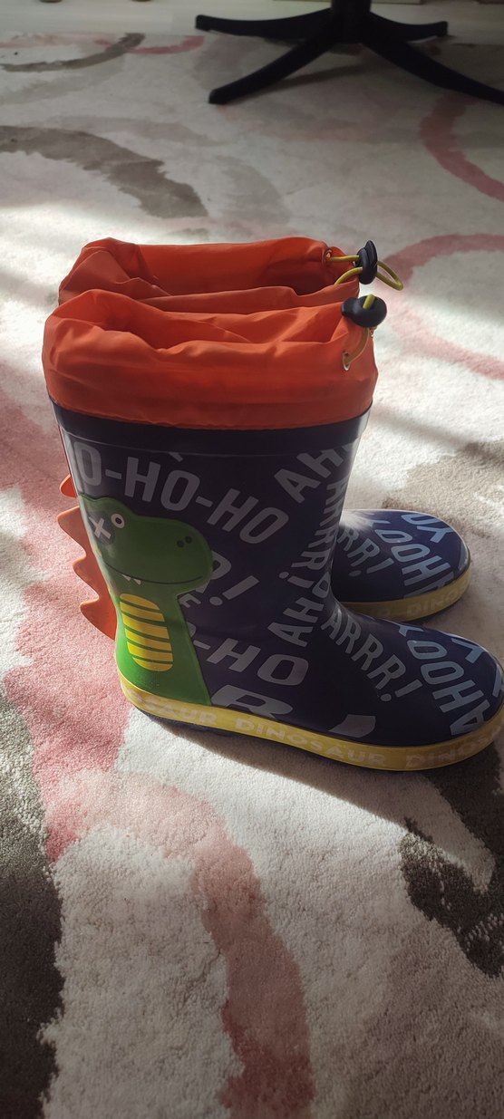 Dinozor Erkek Çocuk Yağmur Çizmesi - Görsel 2