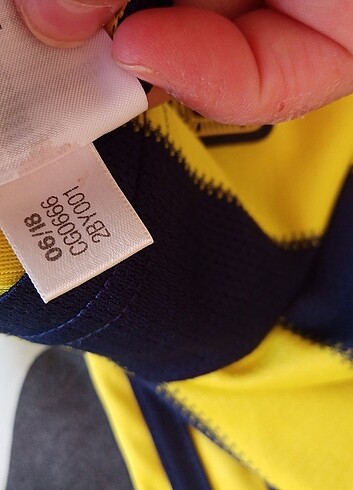 Fenerium Fenerbahçe 