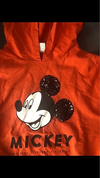 LC Waikiki Swett