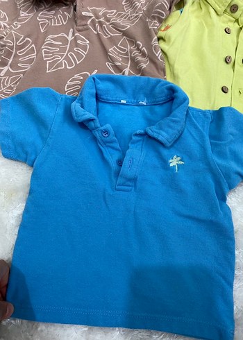 Erkek Çocuk Renkli Polo Yaka Tişörtler - Görsel 4