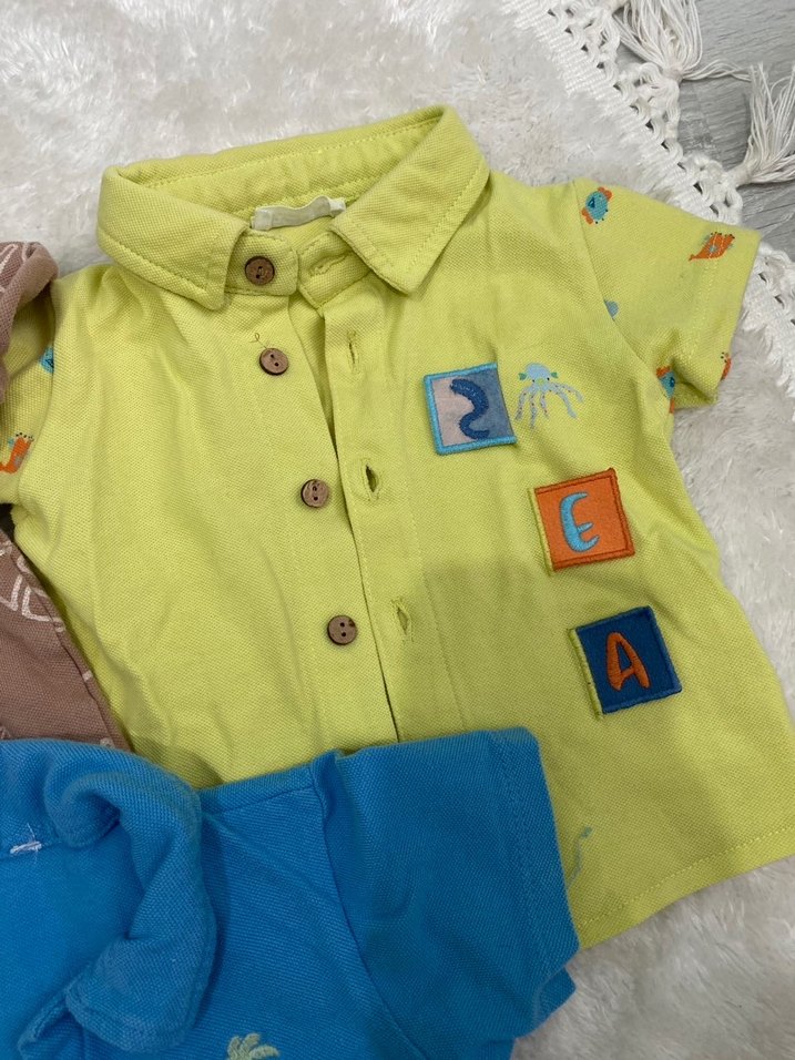 Erkek Çocuk Renkli Polo Yaka Tişörtler - Görsel 2