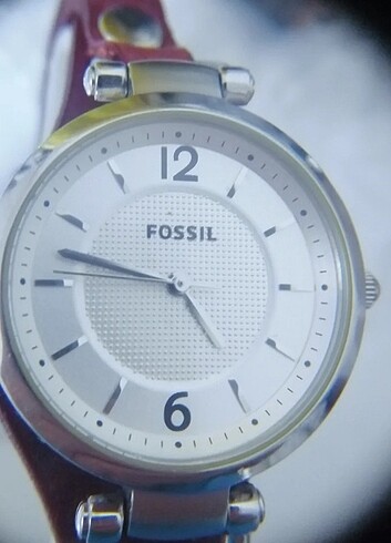 Beden Orjînal Fossil