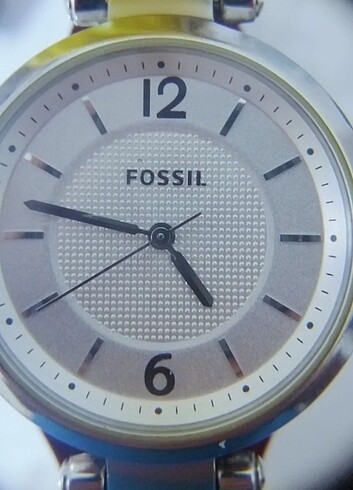 Beden beyaz Renk Orjînal Fossil
