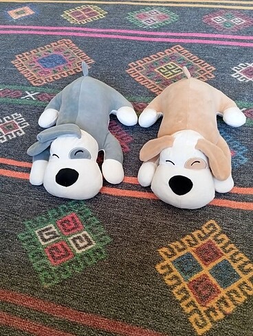 Diğer Uyku arkadaşı uyuyan köpek