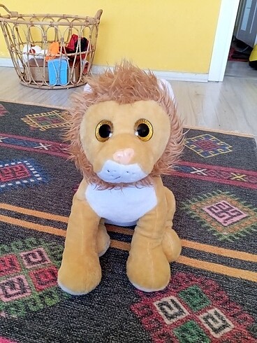 Halley cam gözlü aslan