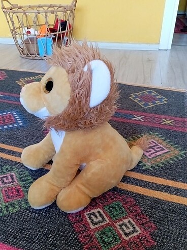 Diğer Halley cam gözlü aslan
