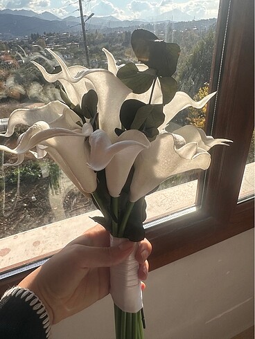 Islak gala gelin çiçeği