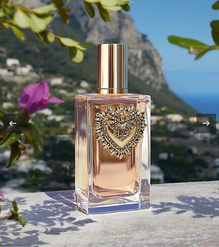 DOLCE&GABBANA DEVOTION