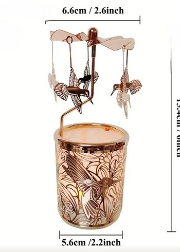 MUM ISISIYLA DÖNEN SİNEK KUŞU - Görsel 4