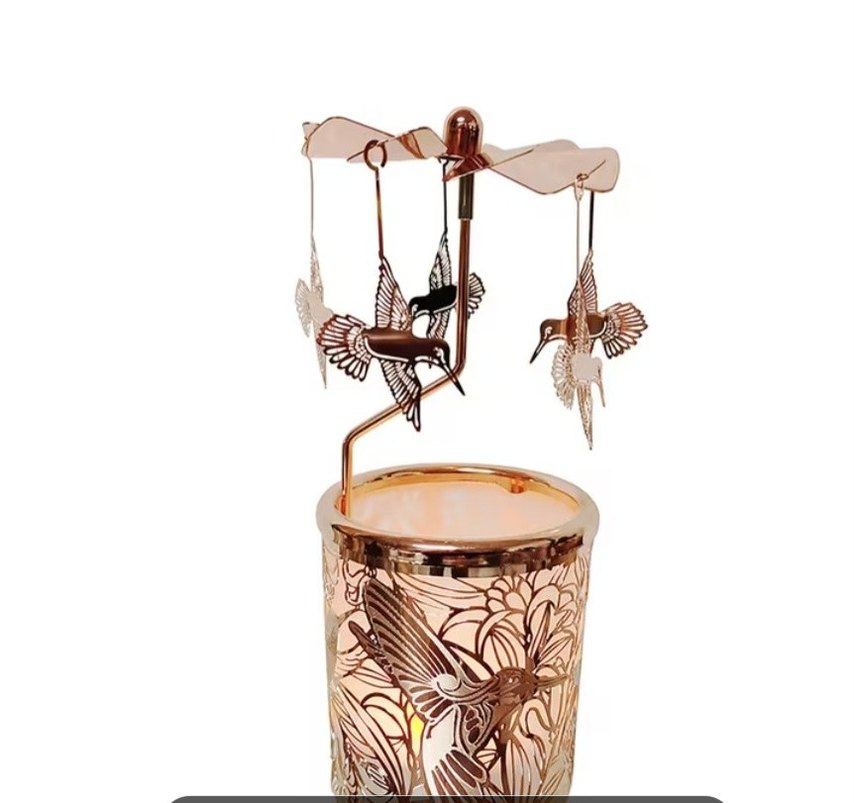 MUM ISISIYLA DÖNEN SİNEK KUŞU - Görsel 3