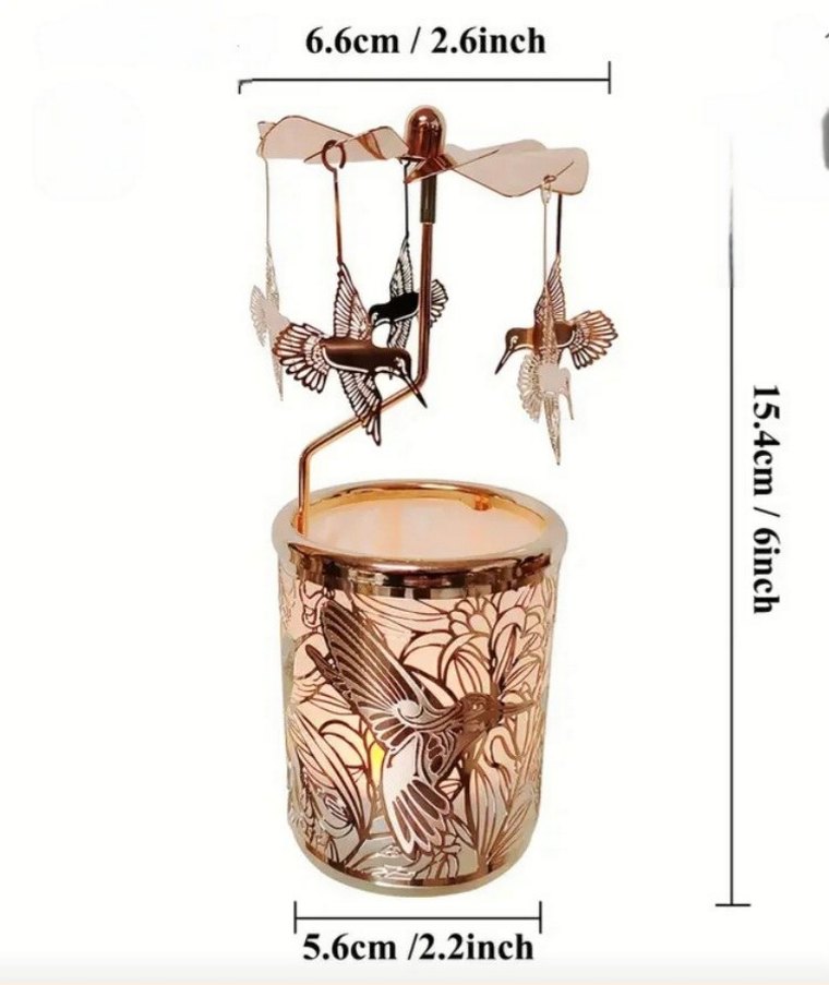 MUM ISISIYLA DÖNEN SİNEK KUŞU - Görsel 4