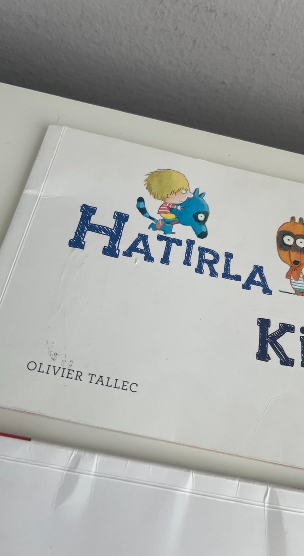 Olivier Tallec Çocuk Kitapları Seti - Görsel 4