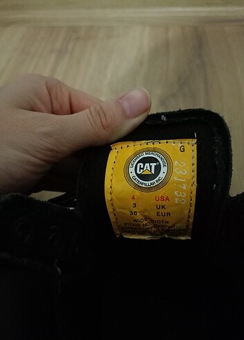 Cat Cat Bot