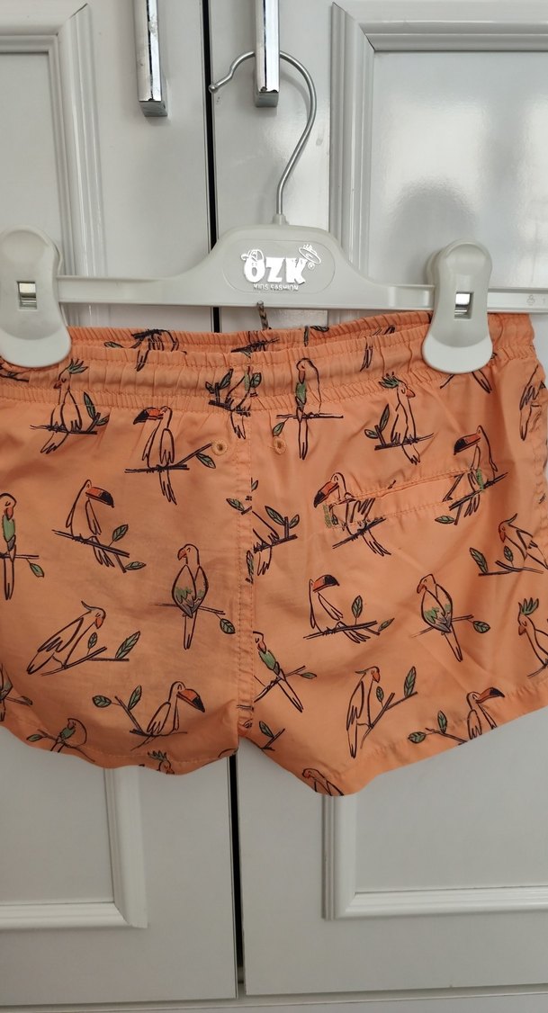 Erkek Çocuk Renkli Kuş Desenli Mayo Şort - Görsel 2