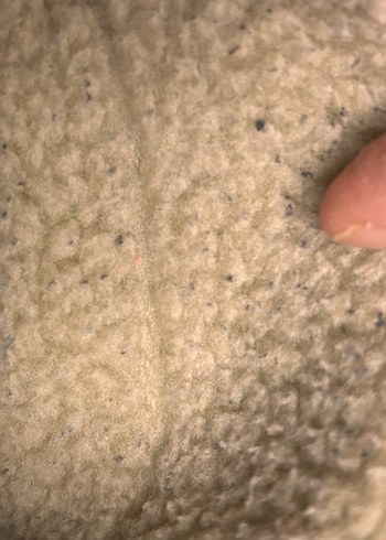 Lacoste 38 no çizme sorunsuz sayılı giyilmiştir - Görsel 2