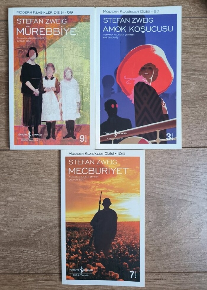 3 Kitap Birden (Yazar Stefan Zweig) - Görsel 2