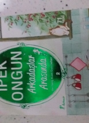 Bir genç kızın gizli defteri 2