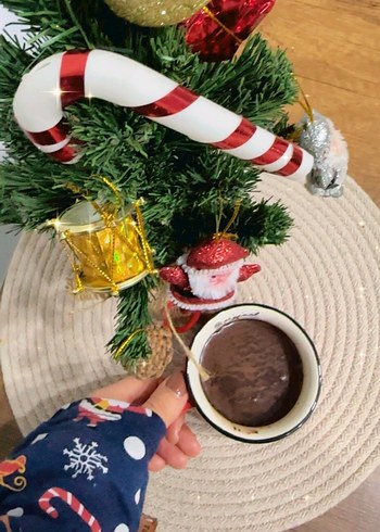 Yılbaşı çam ağacı - Görsel 3