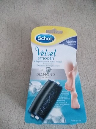 scholl başlık