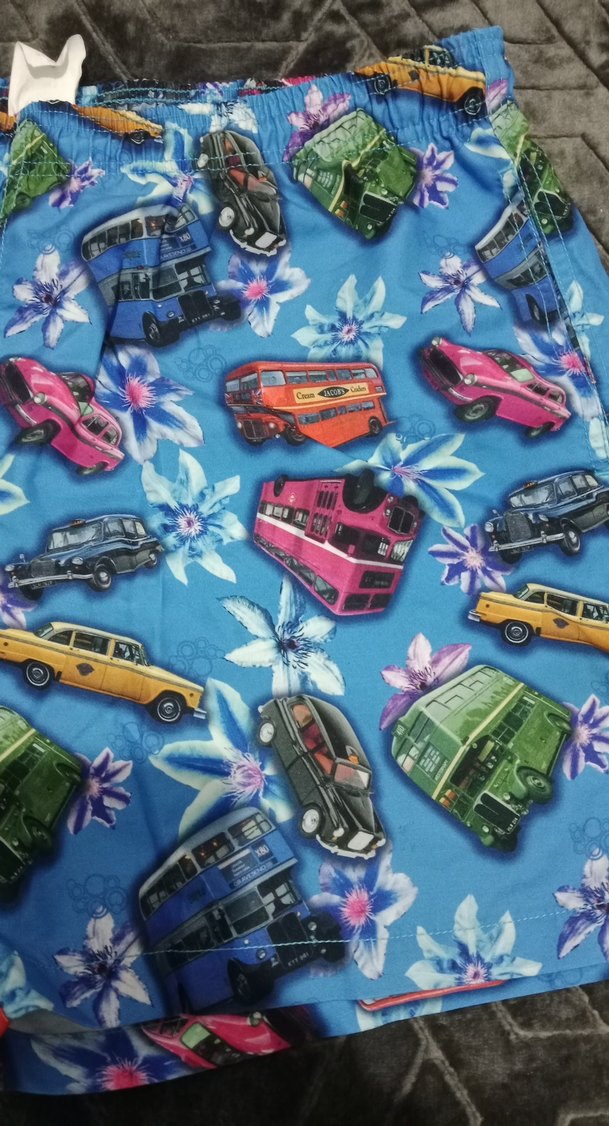 Renkli Baskılı Erkek Mini Deniz Şortu - Görsel 2