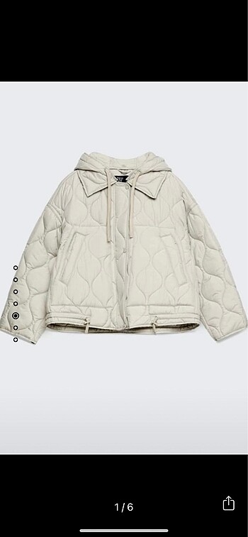 Stradivarius mont