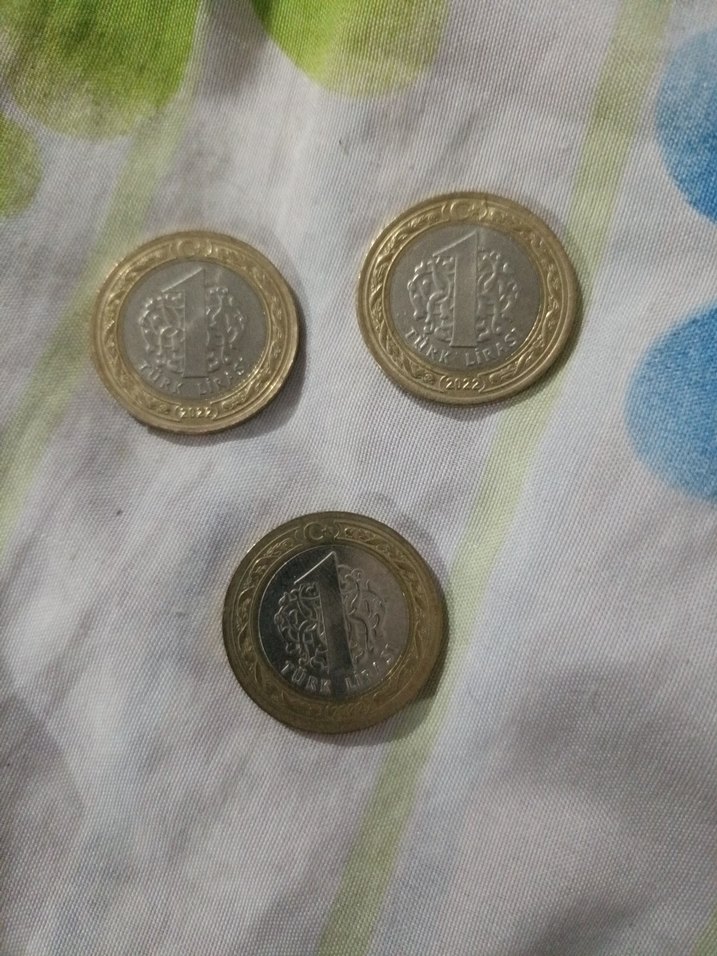 koleksiyon para - Görsel 2