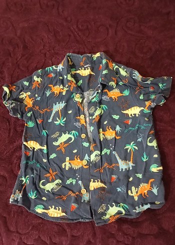 LC Waikiki Erkek Çocuk Kısa Kollu Renkli Dinozor Desenli Gömlek